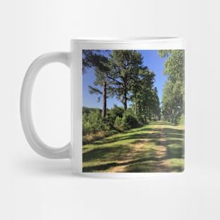 Plantation in the spring Mug